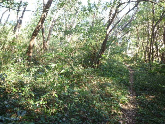下田市　白浜の外観