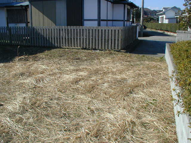 南伊豆町　加納の外観
