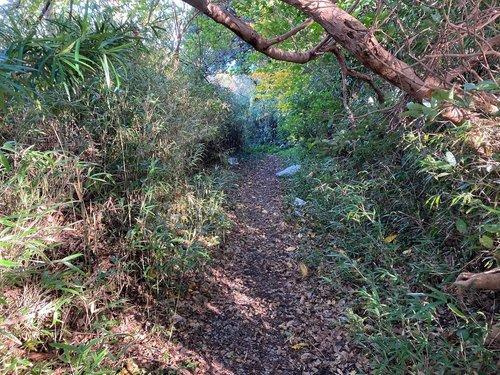 河津町　見高のその他