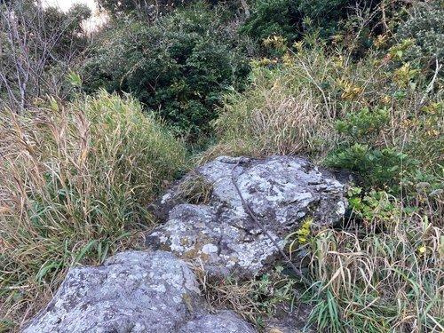 河津町　見高のその他