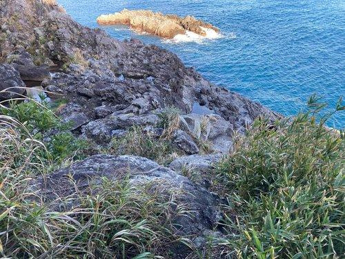 河津町　見高のその他