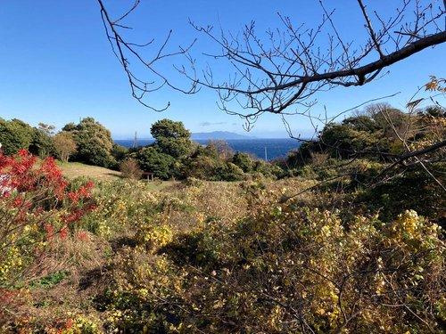 河津町　見高