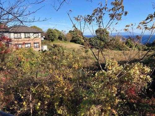 河津町　見高のその他