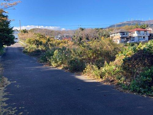 河津町　見高の前面道路含む現地写真