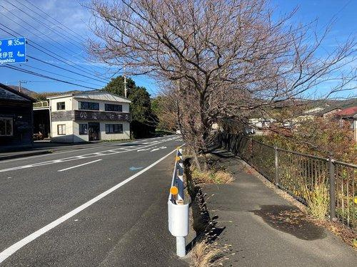 河津町　見高の周辺|現地横の国道