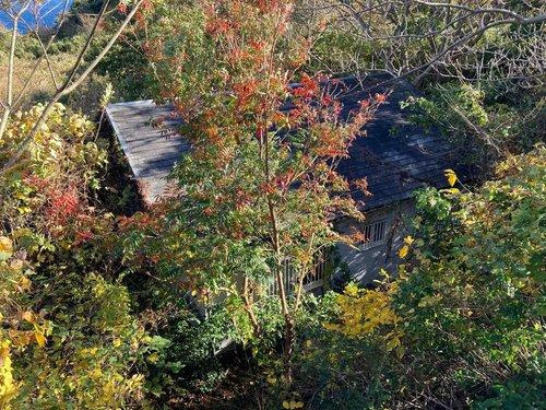 河津町　見高のその他|古家