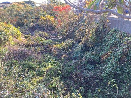 河津町　見高の外観
