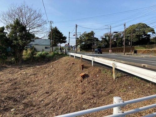 河津町　見高の前面道路含む現地写真|現地（2022年3月）撮影