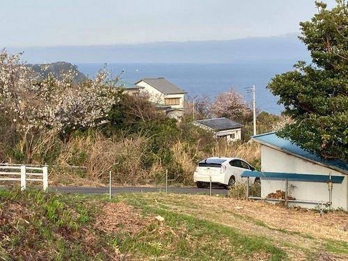 河津町　見高のその他|現地（2022年3月）撮影