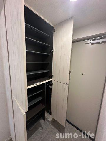 ソーリス・ルクスのその他