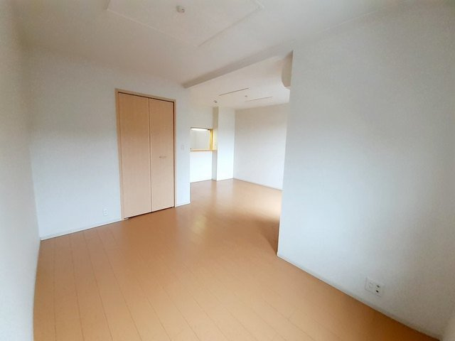 チェリーブロッサムのその他