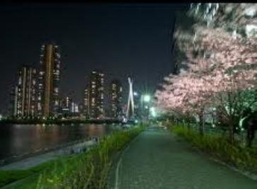 【周辺】 | パークハビオ八丁堀