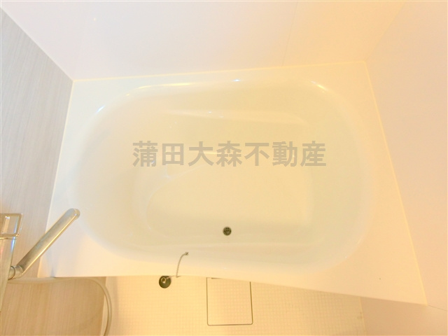 ルーブル大森西の浴室