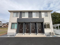 モルガンＤの画像