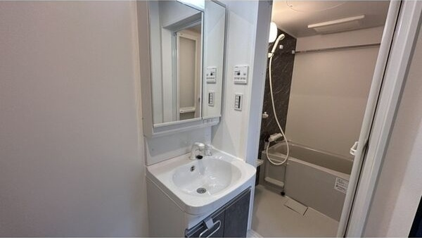 Velo JIYUGAOKA(ヴェロジユウガオカ)の洗面所