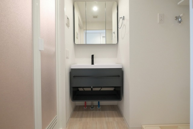 セレニテ難波ミラク壱番館の洗面所