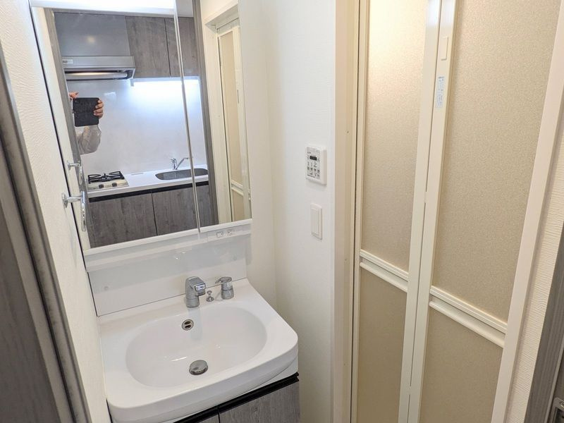 レジュールアッシュOSAKA新深江の洗面所