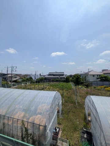 ロイヤル神木の展望