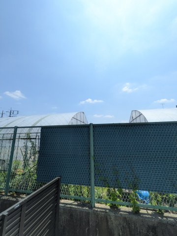ロイヤル神木の展望