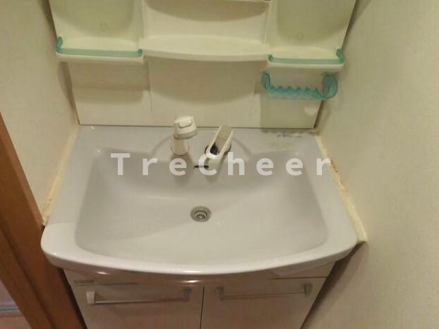 アミューズ北新宿の洗面所