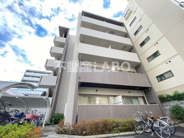 アップルの外観