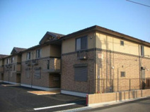 ルミエールの画像