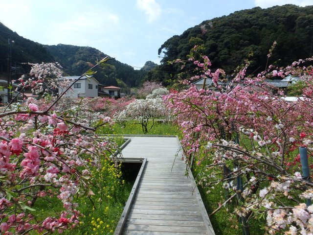 S1759G　蓮台寺売地の周辺