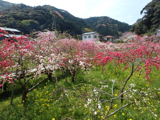 S1759G　蓮台寺売地の周辺