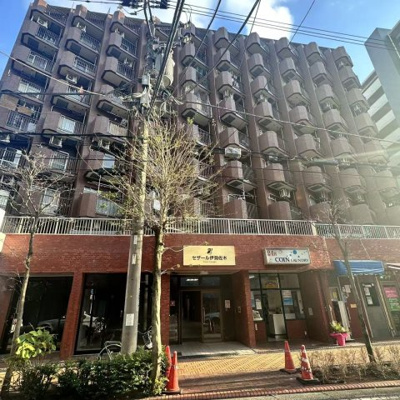 【その他】 | セザール伊勢佐木