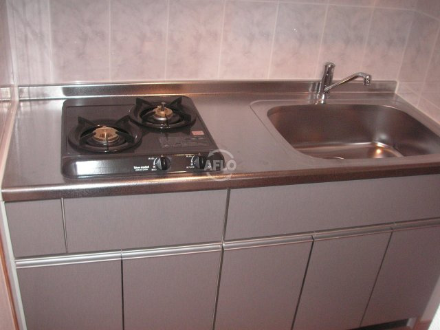 CITY SPIRE難波WESTのキッチン|CITY SPIRE難波WEST ガス2口コンロシステムキッチン