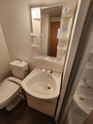 グランドパレス西院西館の洗面所|シャンプードレッサー
