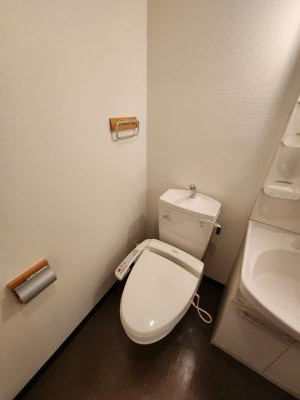 グランドパレス西院西館のトイレ|シャワートイレ