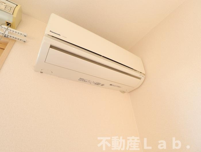 ウィルモア藤のその他