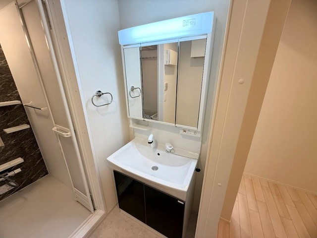 ルミナス鷺沼の独立洗面台|洗面(イメージ)