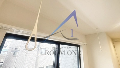 GRADUS柏Ⅱのその他