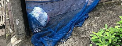 【その他】 | ル・パラディ