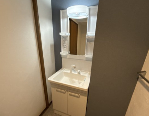 ハピネス北条の独立洗面台
