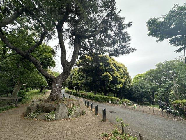朝日プラザ横浜神之木公園の周辺|神之木公園が近くにあります。週末には運動したり散歩したり楽しみが増えますね。