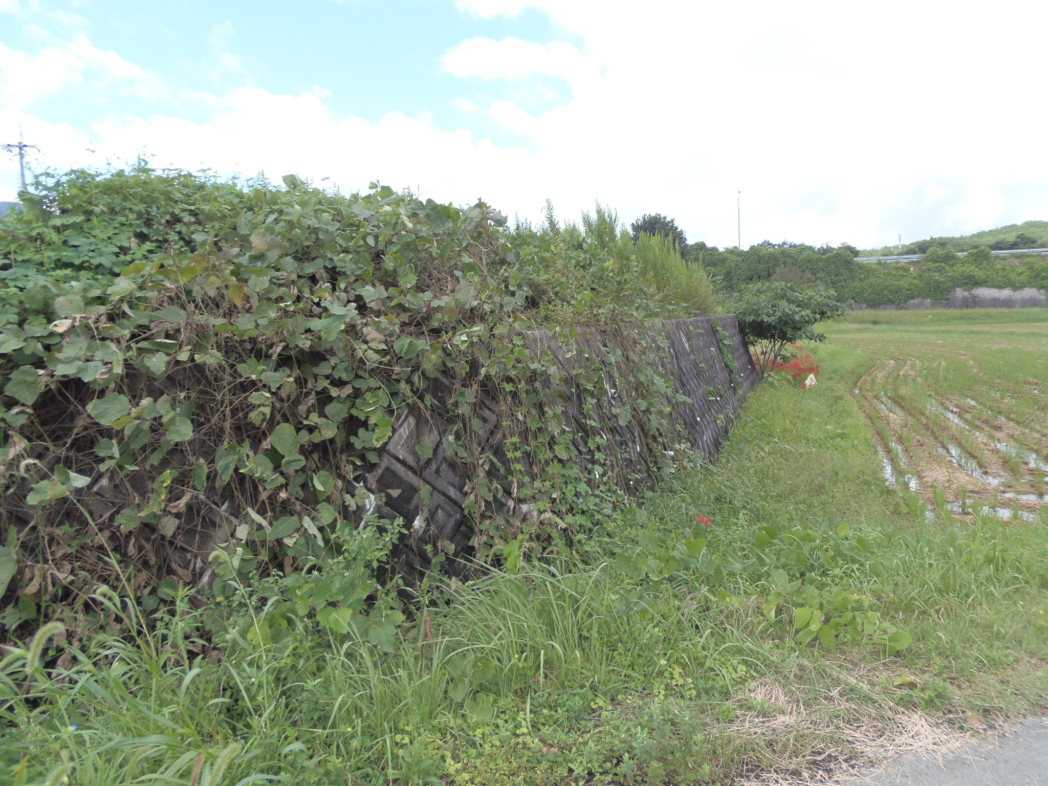 丹波市春日町野上野の売地の外観