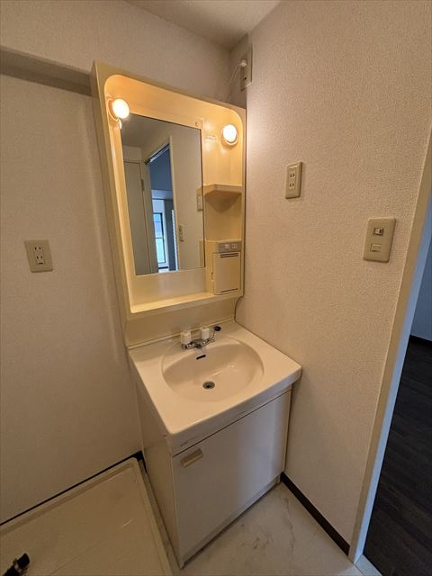 クレインパレス南大泉　B棟の洗面所