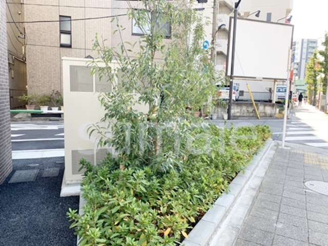 アルファコート王子２のその他|綺麗に手入れされた植栽です！