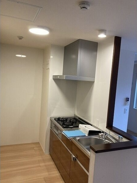 ヒールコートⅡのキッチン