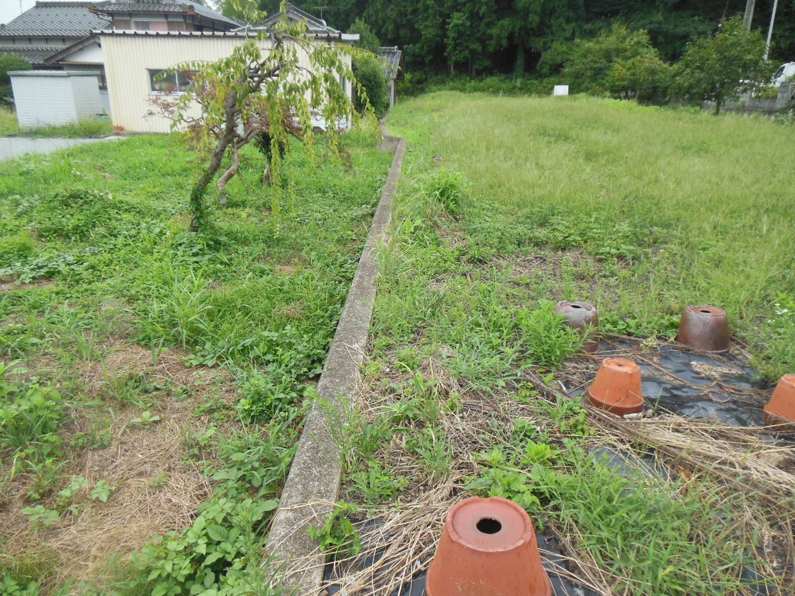 丹波市市島町上竹田の売地の外観