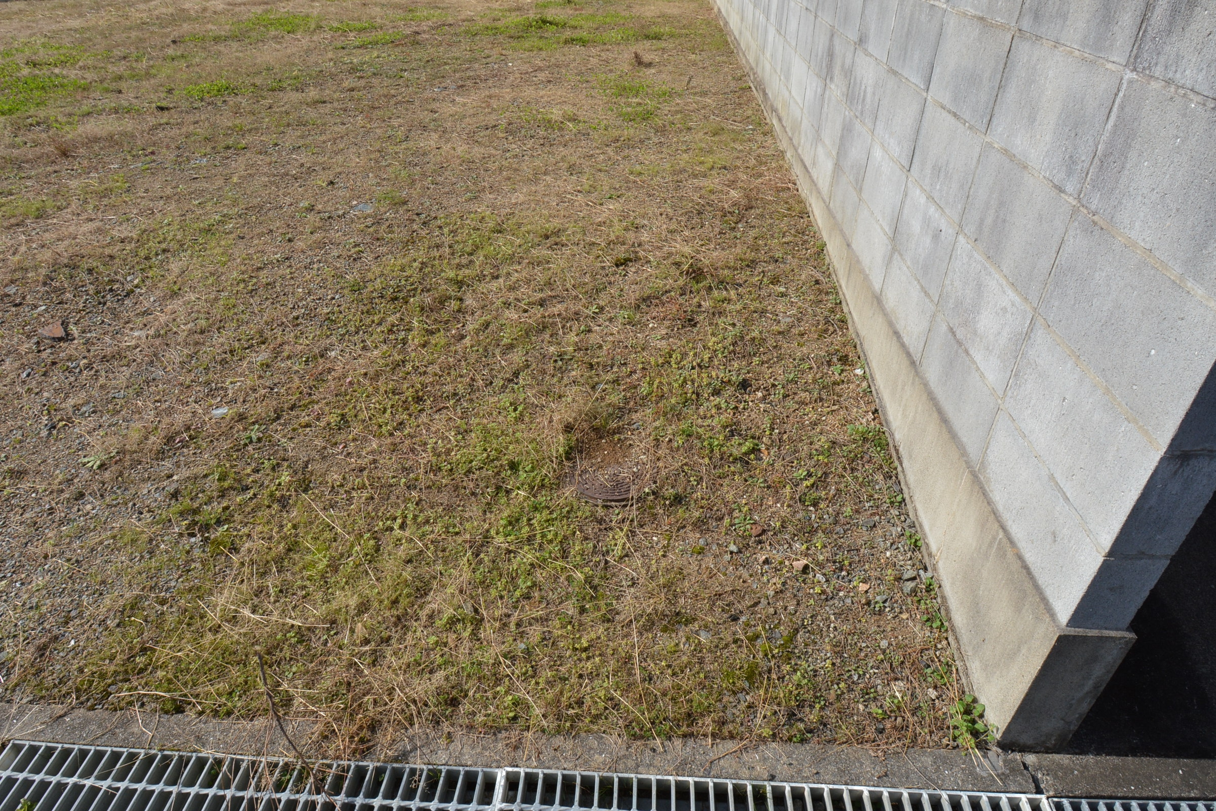 丹波市市島町下竹田の売地の外観