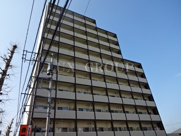 アクセルコートの画像