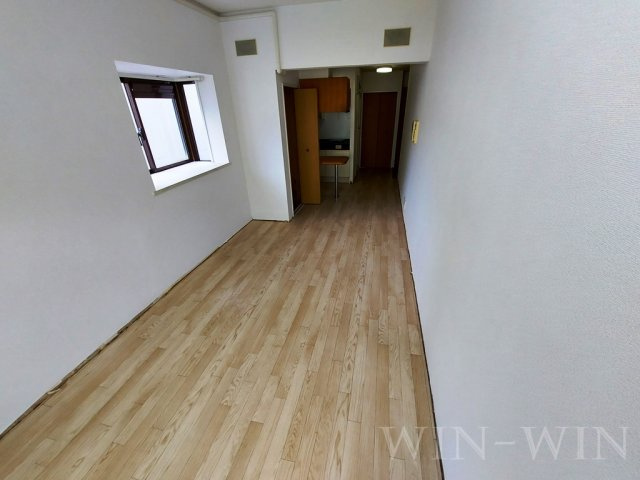 メゾン・ド・アミーの居間・リビング|イメージ（同建物内別部屋の写真です）