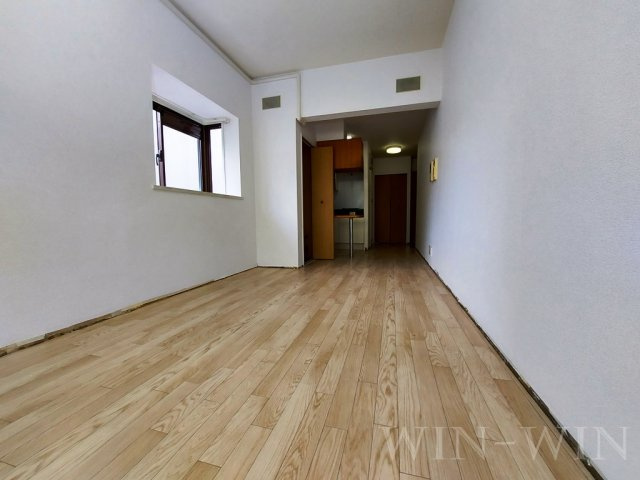 メゾン・ド・アミーの居間・リビング|イメージ（同建物内別部屋の写真です）