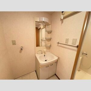 クイール中央通の洗面所