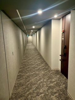 【その他共用部分】 | ホテルライクな内廊下の設計になります。