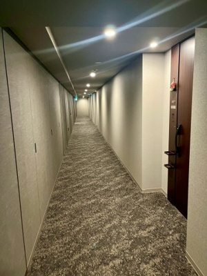 【その他共用部分】 | HARUMI FLAG SUN VILLAGE T棟 | ホテルライクな内廊下の設計になります。